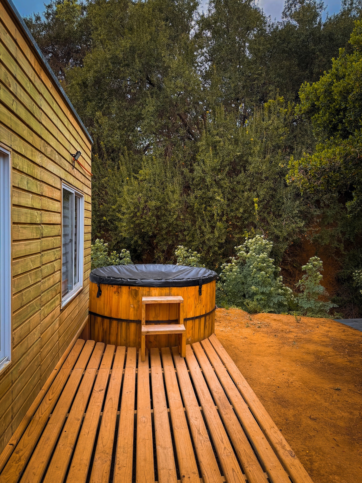 Cabaña, Bosque Nativo, Desconéctate bajo las estrellas y la naturaleza.