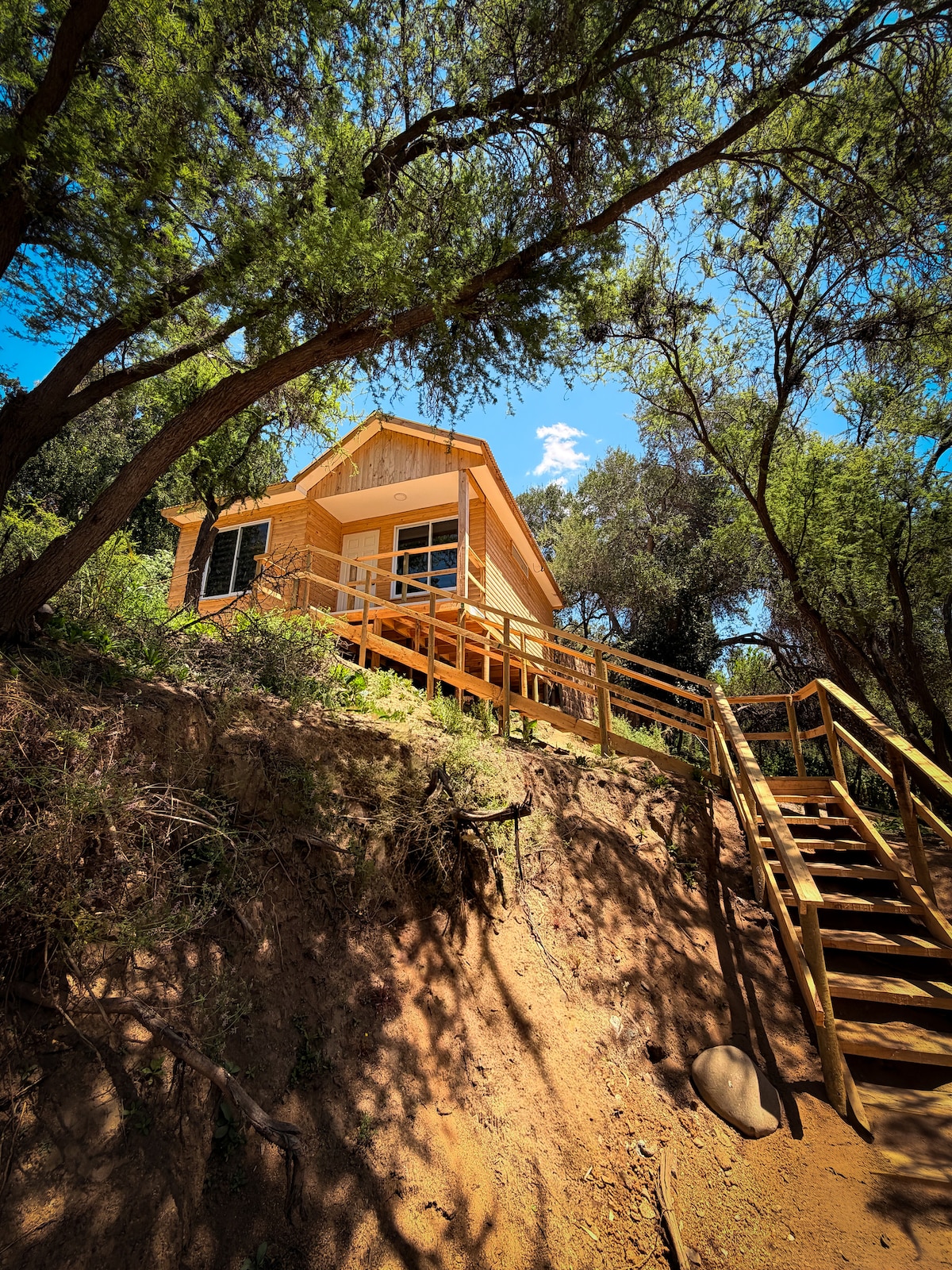 Cabaña Bosque Sereno, Desconéctate bajo las estrellas y naturaleza.